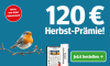 Ein Rotkehlchen auf einem Ast neben einem Abo-Angebot mit 120 Euro Herbst-Prämie für 12 Monate gedruckt und digital lesen.
