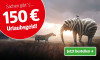 Grafik mit einem Elefanten mit Zebramuster und einem Zebra in einer Landschaft. Text: '150 Euro Urlaubsgeld!'. Button mit der Aufforderung 'Jetzt bestellen'.