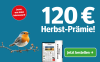 Ein Rotkehlchen auf einem Ast neben einem Abo-Angebot mit 120 Euro Herbst-Prämie für 12 Monate gedruckt und digital lesen.